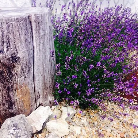 Le Fagnard Chalais (Charente)